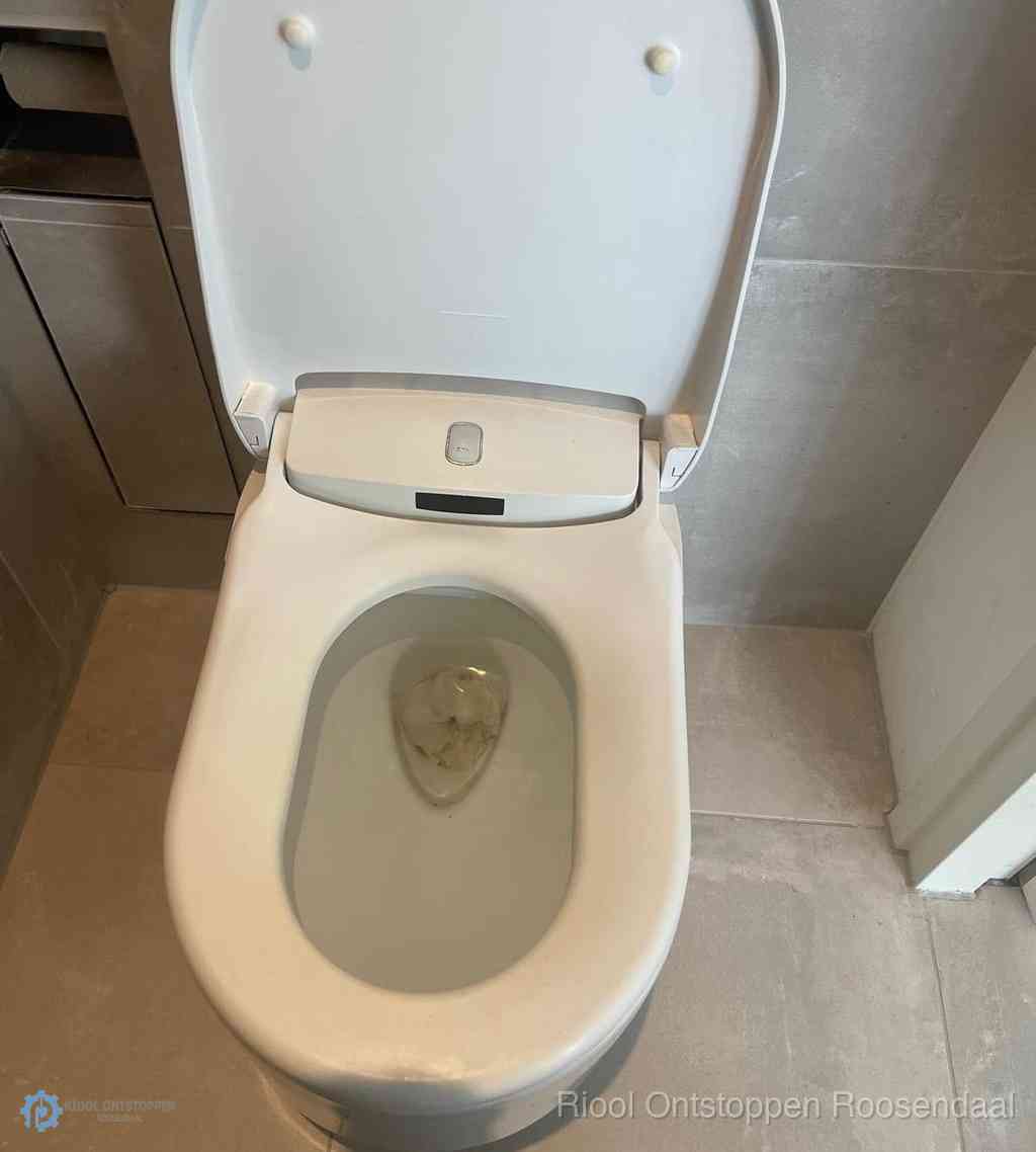 Toilet Ontstoppen Roosendaal Toilet Ontstoppen Roosendaal
